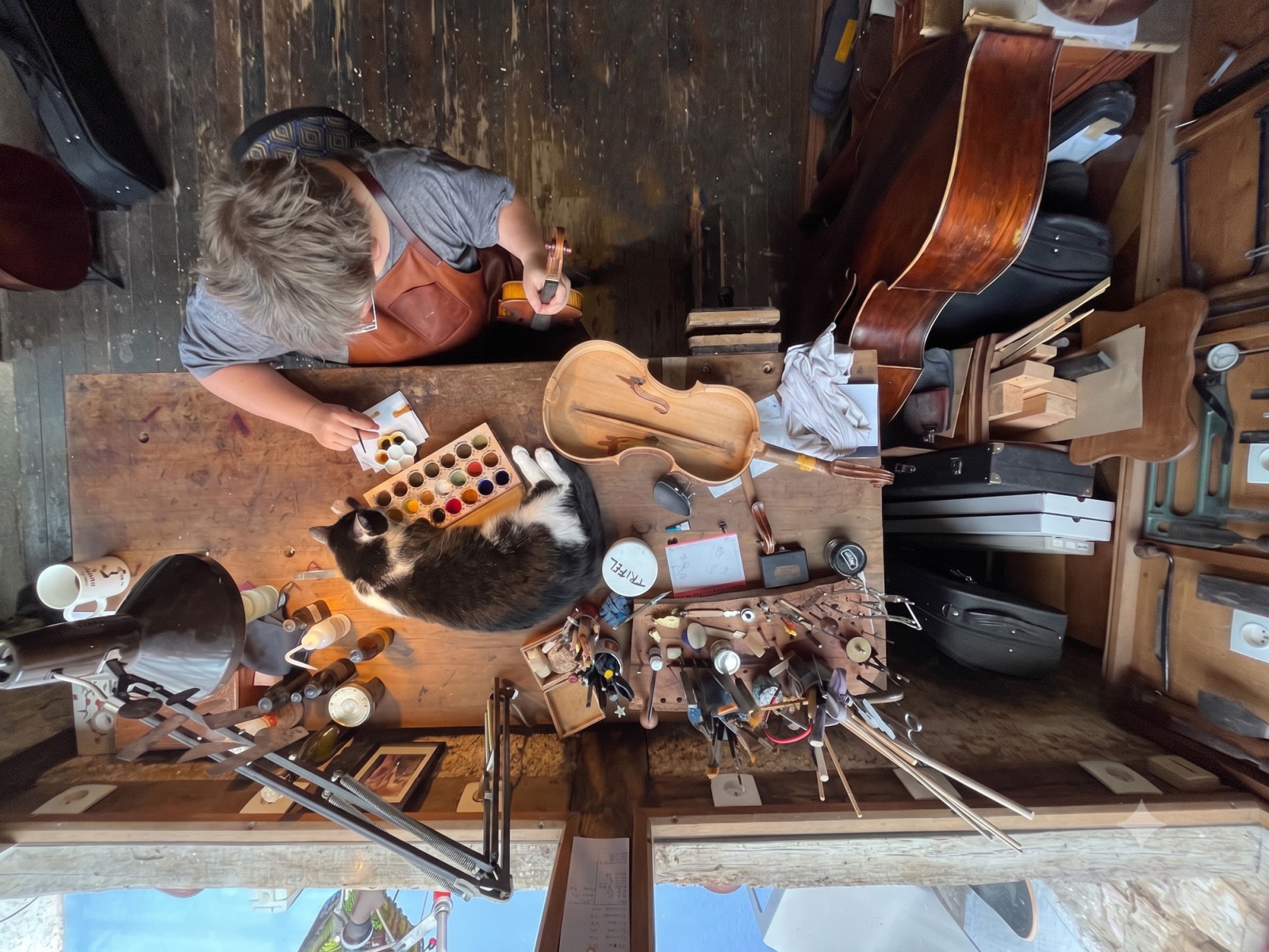 Établi de luthier à Châteauroux vu de haut, violon en restauration et chat endormi entre les outils